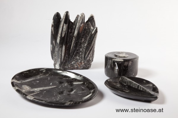 FOTOS + INFO Fossilien - Steinschalen & Skulpturen